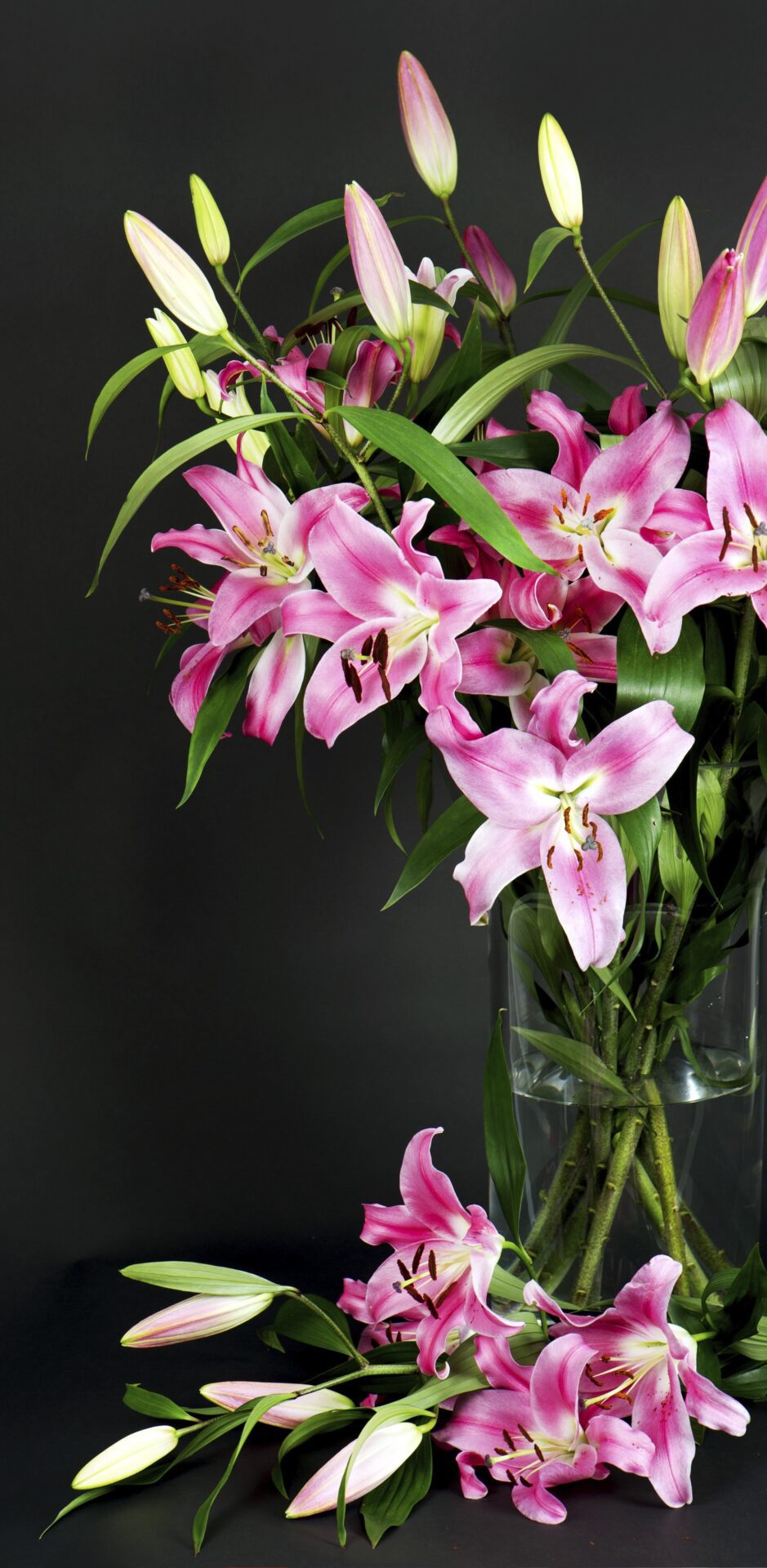 Nová obřadní síň Olšanské hřbitovy